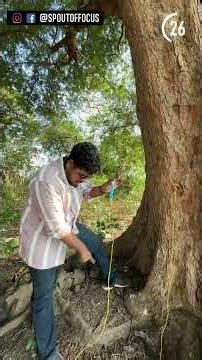 Why This Device Beeps When I Touch a Tree 🌳⚡#outoffocus #offsquad