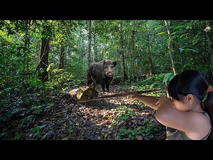 Hunting Wild Boar - Tracing and Shooting Crossbow... / Bushcraft & Survival P.4