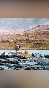 she marry a merman king | Vintage