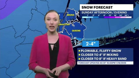STORM WATCH: What you need to know about today's snowstorm in Brooklyn