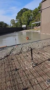 237K views · 2.8K reactions | Who’s going in the oven?? 藍 | FIFO | Facebook