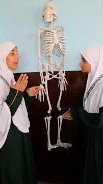 Human Skeleton System | Students’ Easy Explanation 🦴”