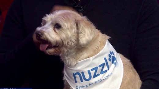 New dating app for dog lovers readies for Austin launch