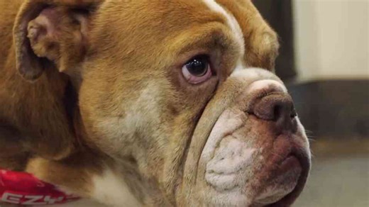 Why swallowing a spoon nearly turned fatal