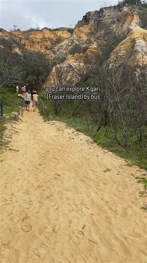1.2K views · 13 reactions | No 4WD? No worries! Jump onboard our custom-designed 4WD coach for an unforgettable K'gari adventure.  | K'gari Explorer Tours | Facebook