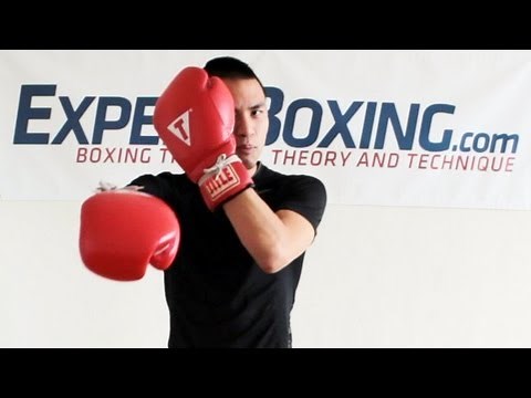 How to See Punches Coming