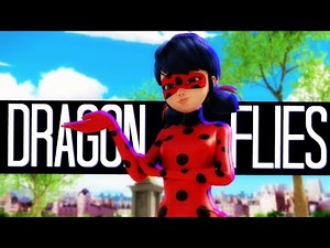Dragonflies | Miraculous Ladybug