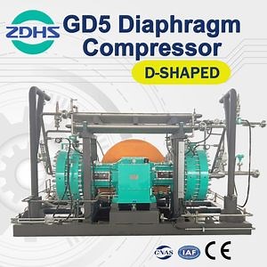 [Hot Item] Customized Reciprocating Back Pressure Type China Gas Diaphragm Ammonia High Purity Compressor