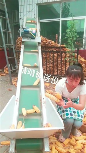 Folding Belt Conveyor for Efficient Industrial Transfer. #shorts