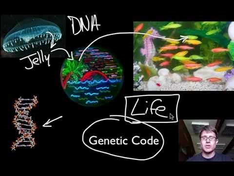 Essential Characteristics of Life