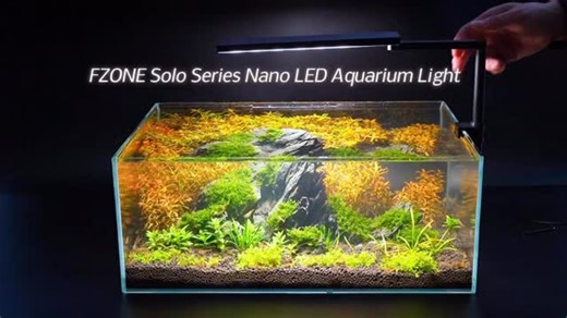 Fzone Studio's | Meet the FZONE Solo Series Nano LED ✨ Control everything from your phone — brightness, color, and schedules, all in one app.🤗 Doing tank... | Instagram