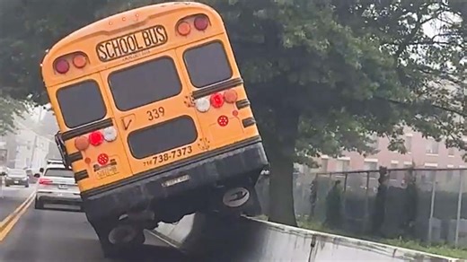 Vacation Gone Wrong: Hilarious Travel Fails That Turn Ordinary Trips Into Chaos