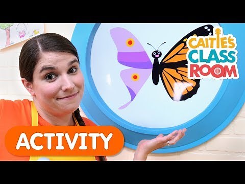 Let's Match Butterfly Wings | Classroom Activities For Kids