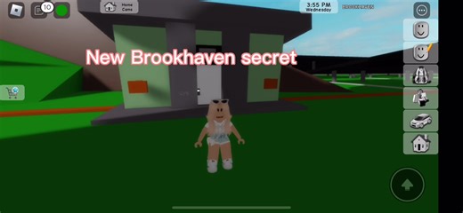New Brookhaven secret! You can now control the weather! | brookhaven
