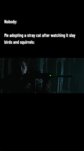 #straycat #cat #cats #aliencovenant #xenomorph