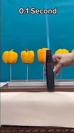 Powerful Lighter vs Capcicum