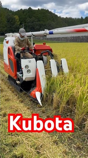 Kubota KR321クボタの3条21馬力コンバインで刈り取りSTAR