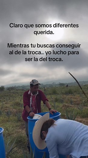 Exploring the World of Agriculture and Ranching in Mexico