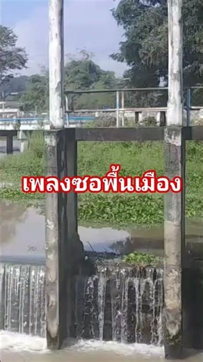 Fun northern folk fiddle songs