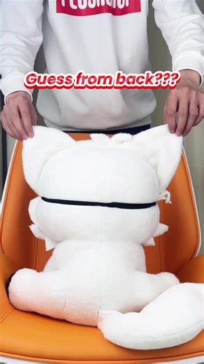 Plushshop-Marketing on TikTok