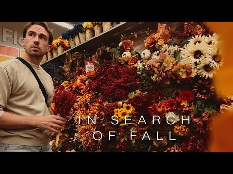 Fall Home Décor Shopping Spree 🍂 | Shop With Me + Haul