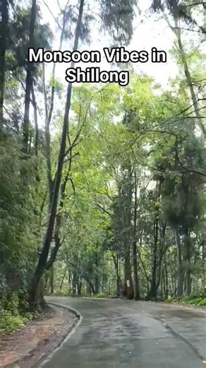 Shillong Rainy Season Beauty 2025" Meghalaya Shillong Tourist Places