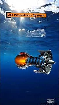 Is it plastic waste or an ocean hero? Salpa maxima #Salp #MarineBiology #OceanCleanUp #Nature