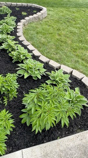 Peggy on Instagram: "This weed puller is a complete game changer. Easy on the back cos of its elongated structure. Cuts weeding time in half.🙌🏽 Comment TOOL for me to send you a dm with the info. Please ensure you’re following me so I can do so. : : : : #weedingtool #gardeningtools #gardeninglifestyle #grandpasweeder #gardeningtipsandtricks #gardeninghacks #landscapingtips #frontyardlandscaping #flowergardening #hostas #peonie #hydrangealove #plantingseason #frontyardgarden #fron