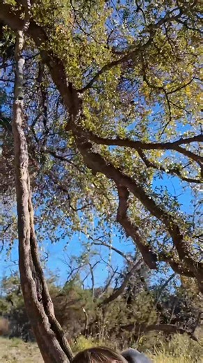 4 comments |  Texas Adventure Spotlight: Colorado Bend State Park ...