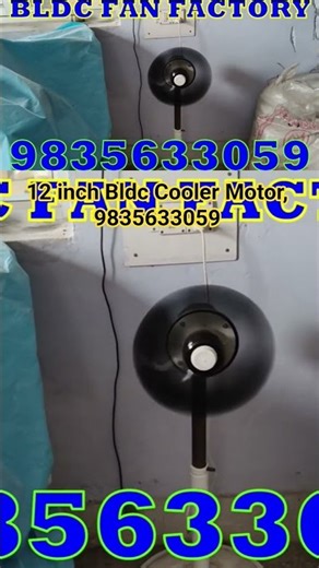 12 inch Bldc Cooler Motor, 9835633059