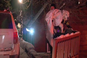 31K views · 1K reactions | Rescuers bring Curtis back to his home...