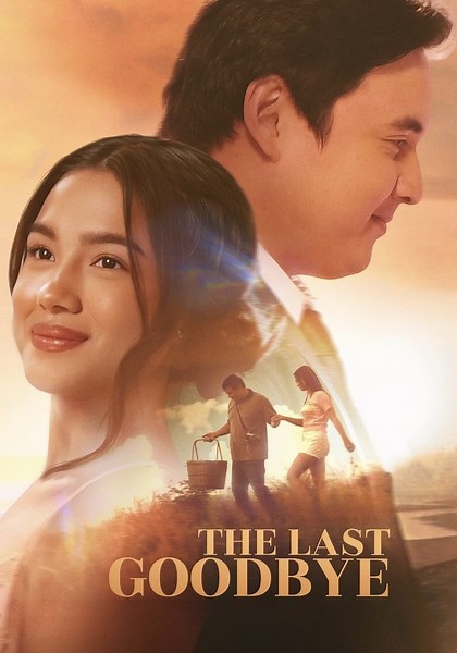 The Last Goodbye streaming: where to watch online?