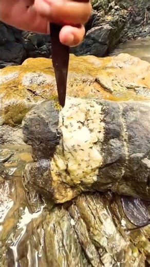 Extracting Gold from Rock | Real Gold Mining Process 👍 #gold #jewelry #luxury