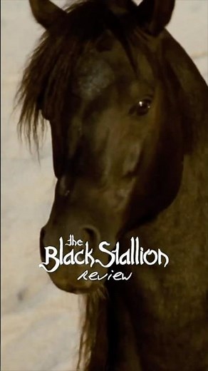 The Black Stallion (1979) review #movie #movies #film #cinema #moviereview #shorts #fyp #viral #new