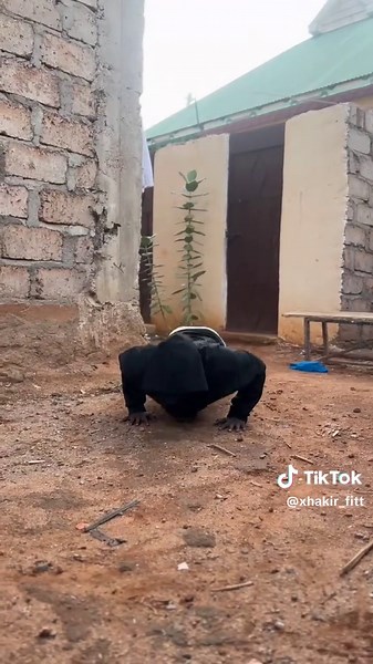 Zamay Waa Waxyaalo Ay Dadka Kale Sameyn Karin