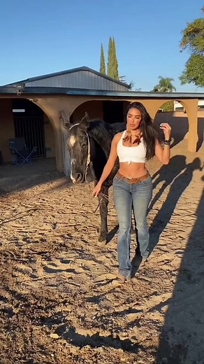 #inverted #fyp #WeekendVibes #BakingSzn #horses #horsesontiktok #fyp #housetour #backyardigans | Vanessa