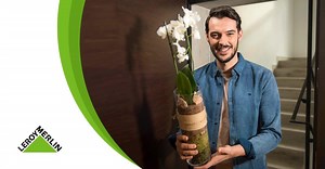 84K views · 570 reactions | Mamă, soție, iubită...luna martie este dedicată femeii. E momentul perfect să le surprinzi cu o orhidee de la Leroy Merlin. #1martie <3 | Leroy Merlin Romania | Facebook