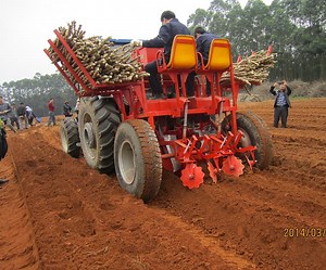 [Hot Item] High Efficiency Cassava Planting Machine Price for Sale