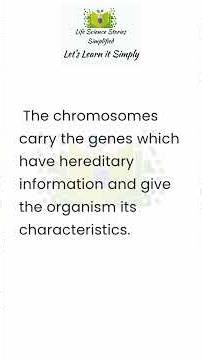 Chromosomes and Chromatids #cellcycle
