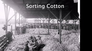 32K views · 226 reactions | See more pictures of Enterprise and the...