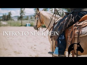 How to Teach a Horse to Neck Rein | From Halter to Bosal with Doug Mills