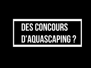 AQUASCAPING: LES CONCOURS D'AQUASCAPING