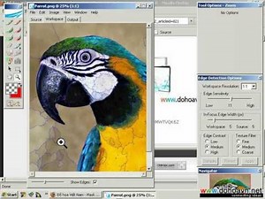 Plug-in Tách ảnh ra khỏi nền hoàn hảo