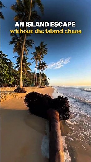 The Most Peaceful Beach in Brazil | Most Beautiful Place #bahia #travel #budgettravel #beach #brazil