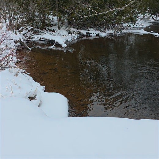 It's a guy thing on Reels