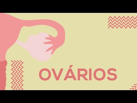 Ovários