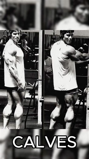 How Arnold Built His Calves