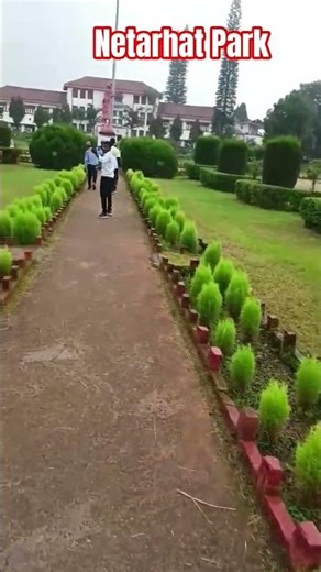 #video || Netarhat khubsurat Najare #netarhatjharkhand #netarhat #youtubeshorts #love #look#