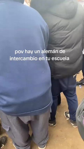 Intercambio en el Colegio: Un Alemán en tu Aula