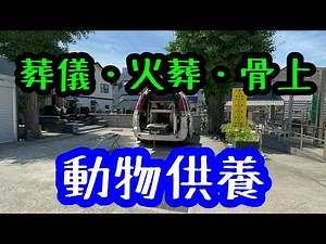 動物供養【葬儀・火葬・骨上】